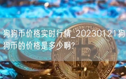 狗狗币价格实时行情_20230121狗狗币的价格是多少啊?-第1张图片-交易所